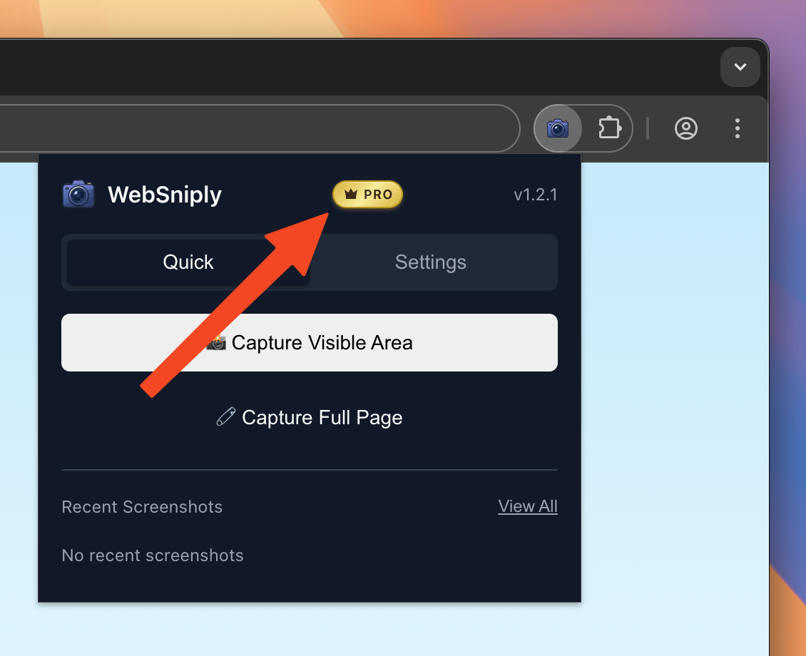 WebSniply Payment success